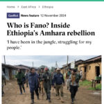 Who is Fano? Inside Ethiopia’s Amhara rebellion